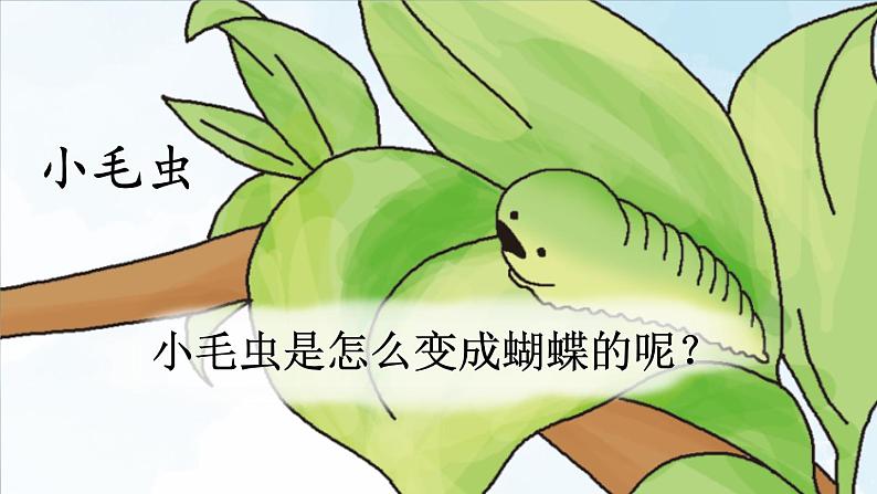 部编版二年级语文下册--22 小毛虫（优质课件1）第2页