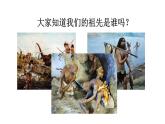 部编版二年级语文下册--23 祖先的摇篮（优质课件1）