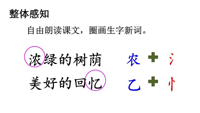 部编版二年级语文下册--23 祖先的摇篮（优质课件1）第7页