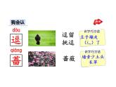 部编版二年级语文下册--23 祖先的摇篮（优质课件2）