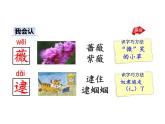 部编版二年级语文下册--23 祖先的摇篮（优质课件2）