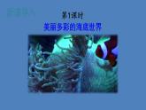 部编版三年级语文下册--23 海底世界（优质课件1）