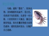 部编版三年级语文下册--23 海底世界（优质课件1）