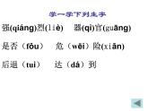 部编版三年级语文下册--23.海底世界（课件）