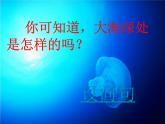 部编版三年级语文下册--23.海底世界（课件）