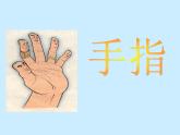 部编版五年级语文下册--22.手指（课件）