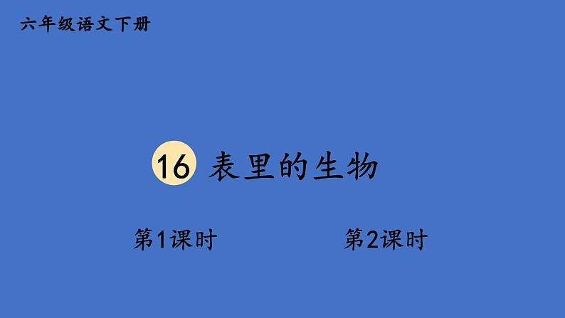 部编版六年级语文下册--16 表里的生物（精品课件）01