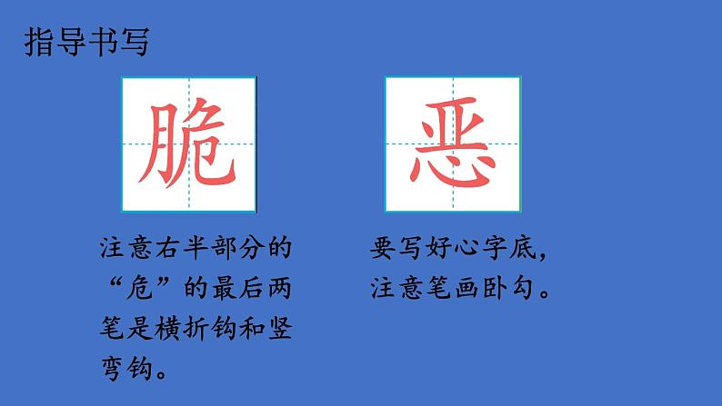 部编版六年级语文下册--16 表里的生物（精品课件）05