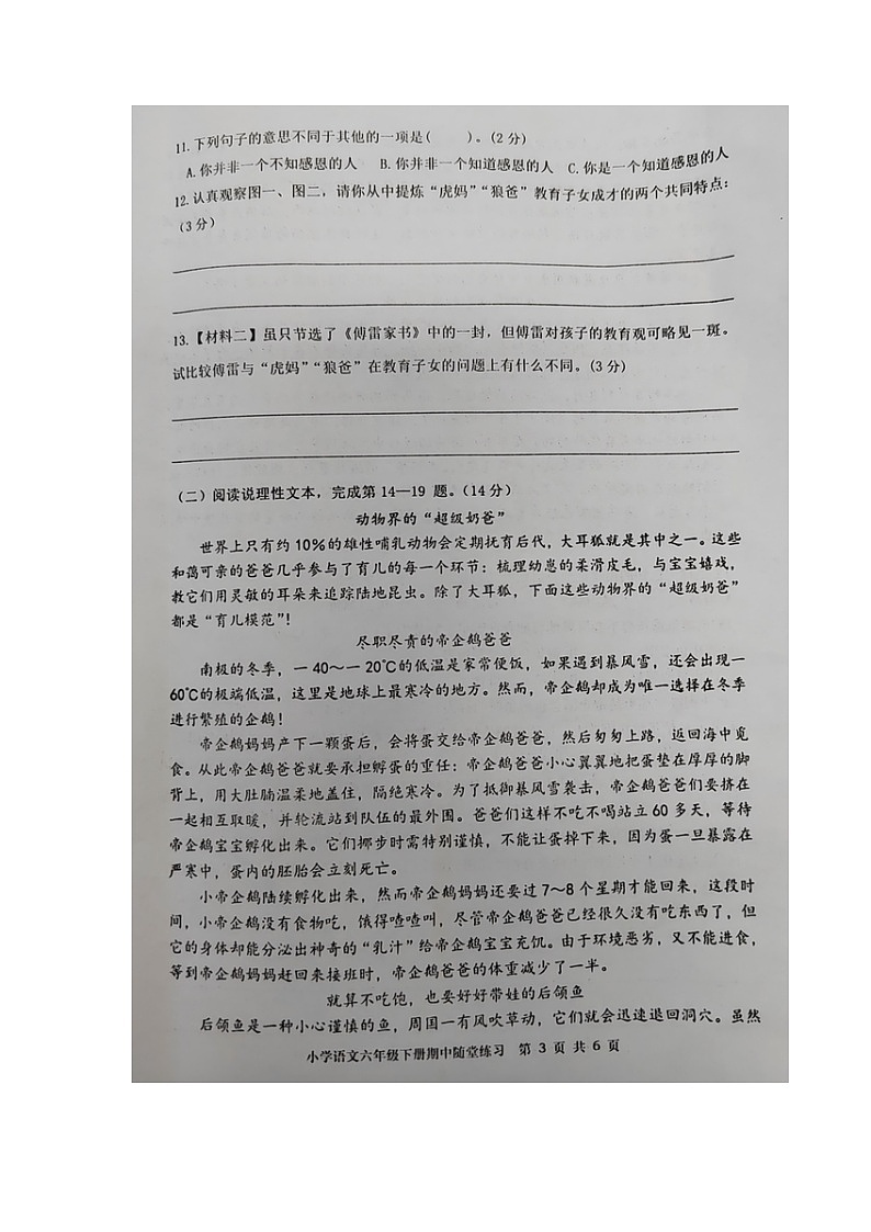 福建省龙岩市武平县2022-2023学年六年级下学期期中随堂练习语文试卷+第3页