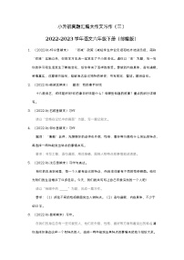 小升初真题汇编大作文习作（押题卷）-2022-2023学年语文六年级下册（部编版）