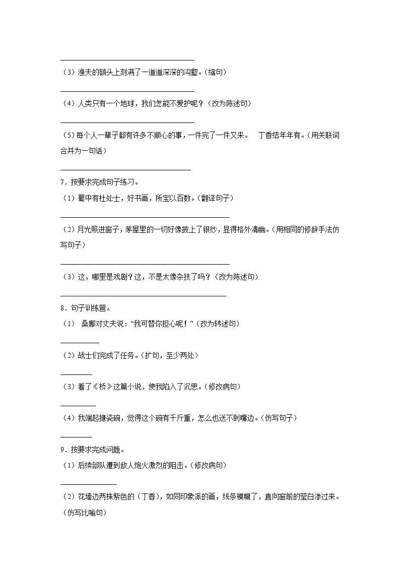 2022-2023学年部编版语文六年级下册小升初专项复习：按要求改写句子 第3页