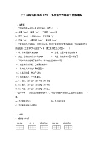 2022-2023学年部编版语文六年级下册小升初综合自检卷（二） （含答案）