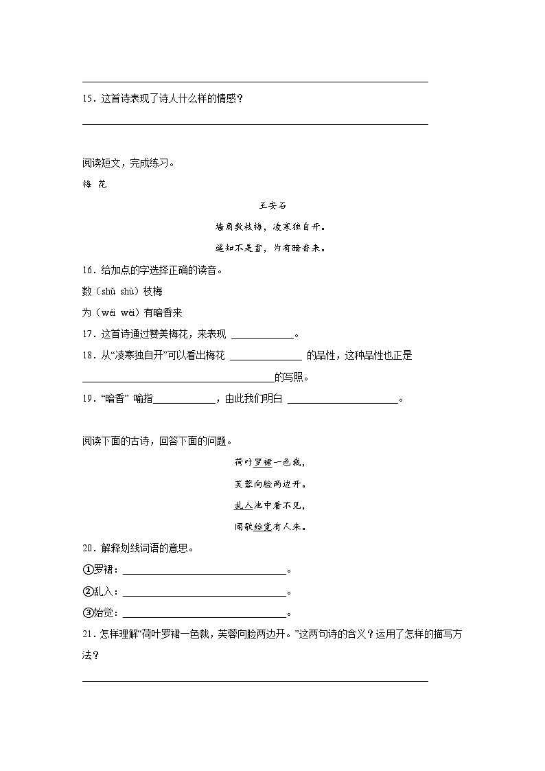 2022-2023学年部编版语文六年级下册小升初专题复习：诗词曲鉴赏第3页