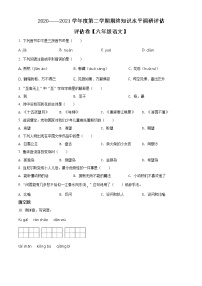 【小升初真题卷】2020-2021学年广东省梅州市大埔县部编版六年级下册期末考试语文试卷（原卷版+解析版）