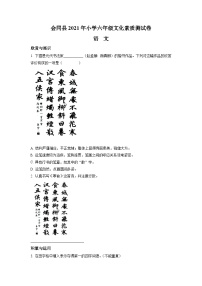 【小升初真题卷】湖南省怀化市会同县2021年部编版小升初考试语文试卷（原卷版+解析版）