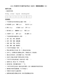 【小升初真题卷】湖南省郴州市永兴县红旗实验小学2021年小升初考试语文试卷（B）（原卷版+解析版）