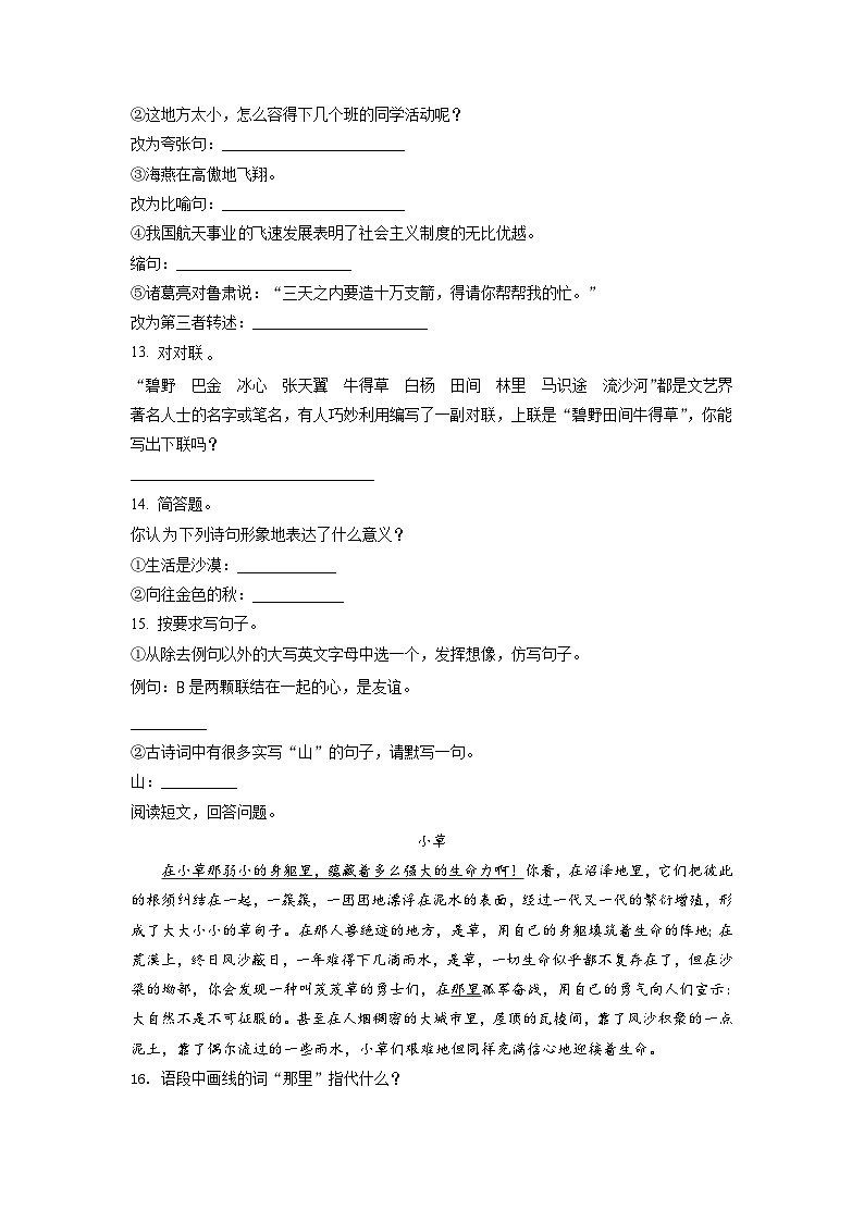 【小升初真题卷】湖南省长沙市麓山国际实验学校2021年部编版小升初考试语文试卷（原卷版+解析版）02