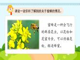 14《蜜蜂》第1课时_部编版语文三年级下册课件PPT