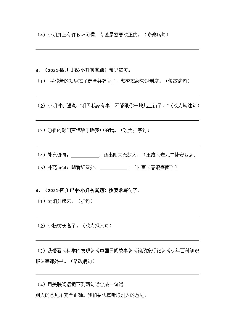 专题04 按要求写句子（原卷版）第2页