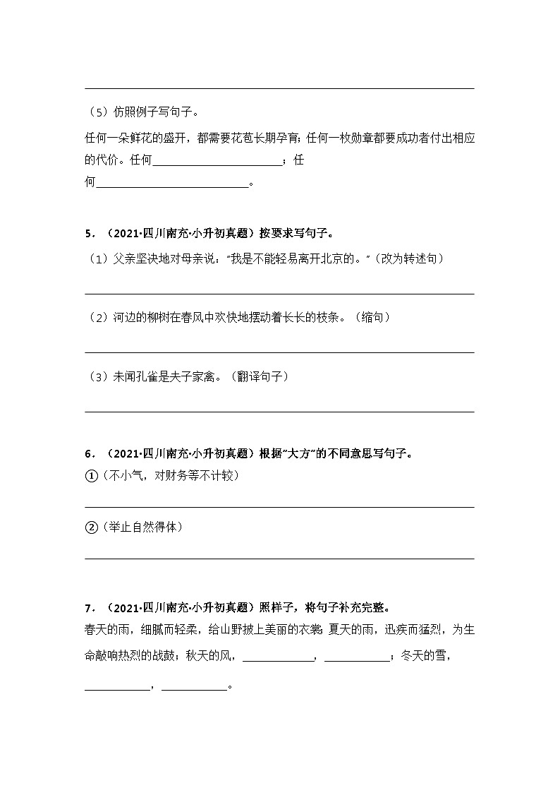 专题04 按要求写句子（原卷版）第3页