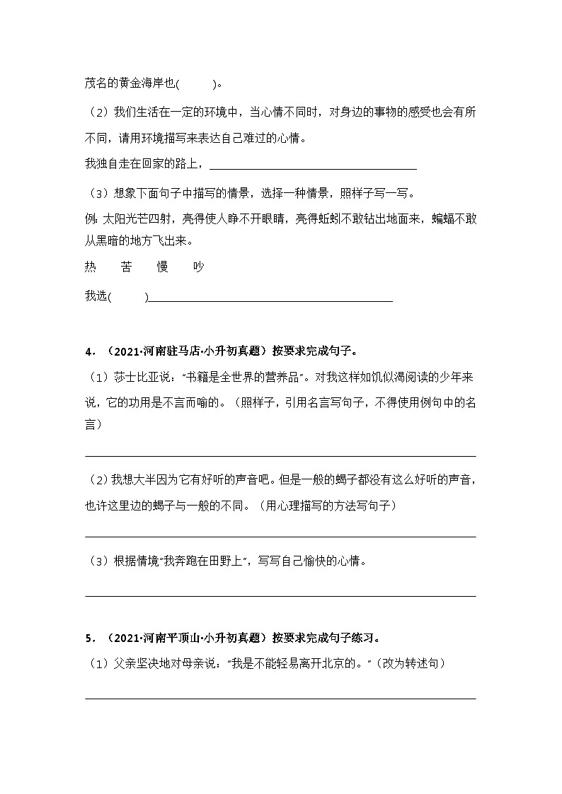 专题04 按要求写句子（原卷版）第2页