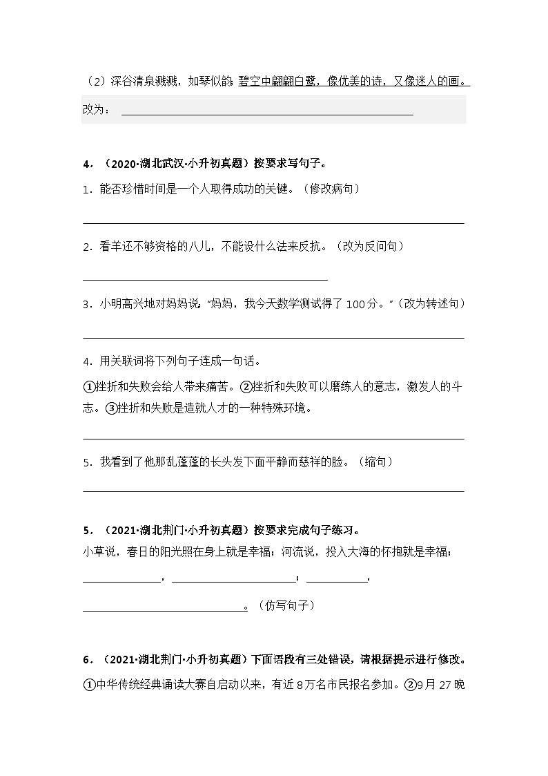 专题06 按要求改写句子（原卷版）第3页