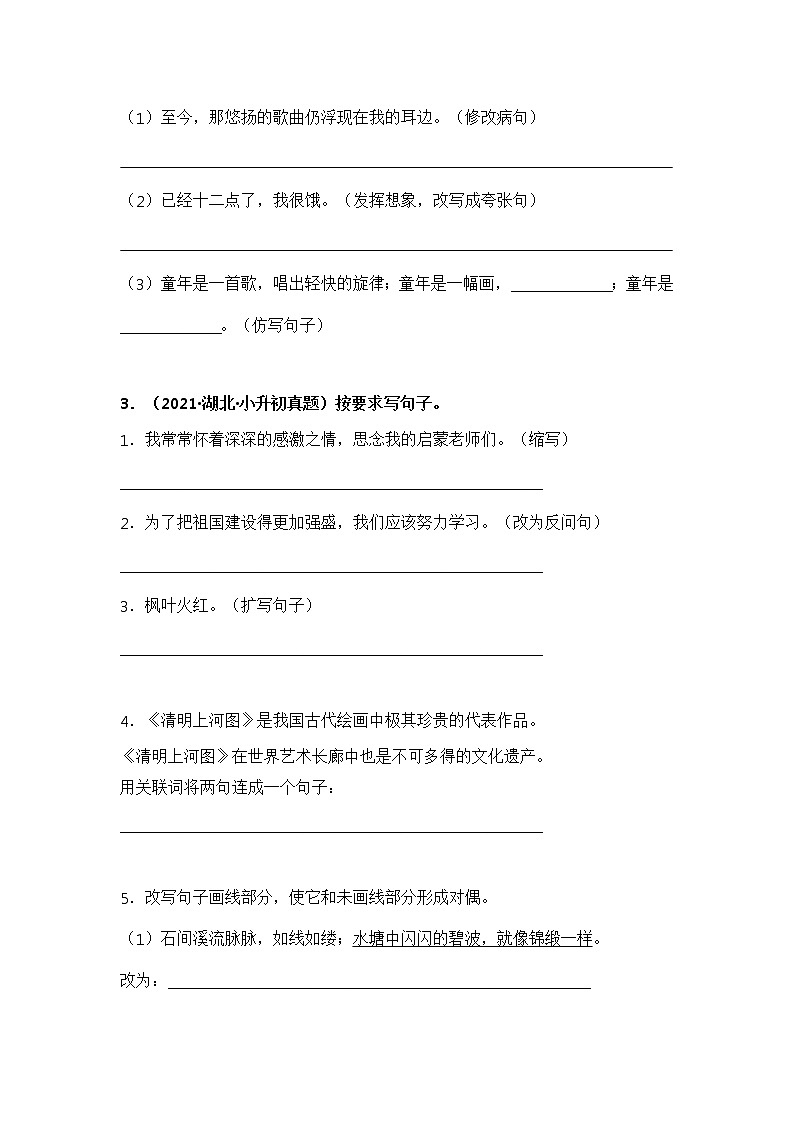专题06 按要求改写句子——【湖北地区】2021+2022年小升初语文真题专项汇编（原卷版+解析版）02