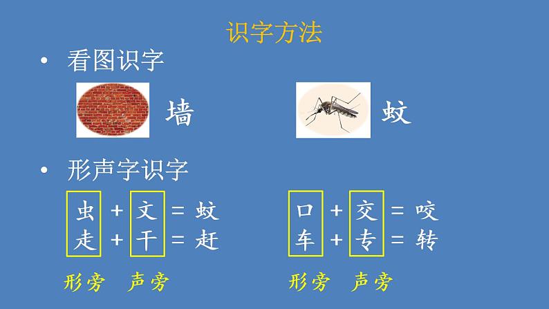 部编版一年级语文下册--21 小壁虎借尾巴（精品课件1）第7页