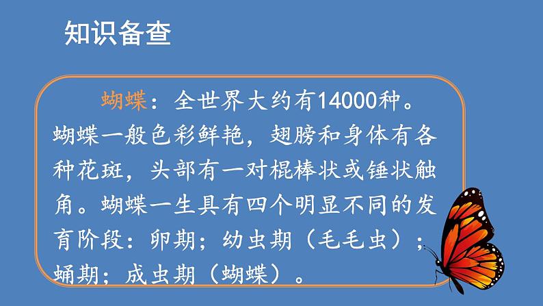 部编版二年级语文下册--22 小毛虫（精品课件）第3页