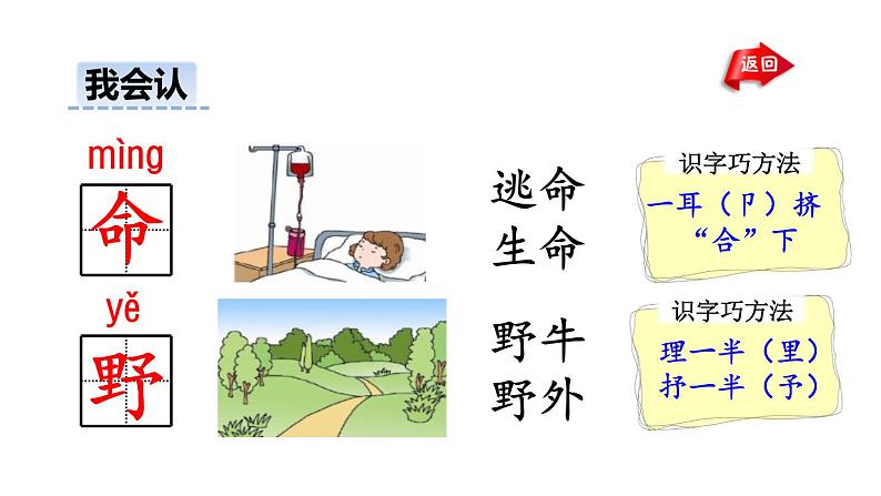 部编版一年级语文下册--20.咕咚（优质课件）第8页