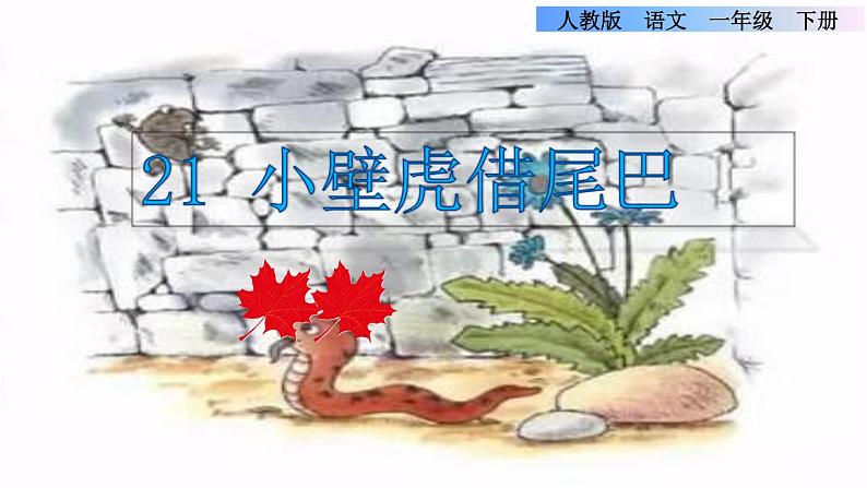 部编版一年级语文下册--21.小壁虎借尾巴（优质课件）第1页