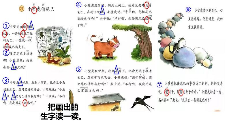 部编版一年级语文下册--21.小壁虎借尾巴（优质课件）第2页