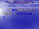 部编版三年级语文下册--23.海底世界（课件1）