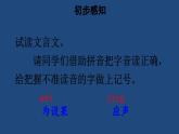 部编版五年级语文下册--21 杨氏之子（优质课件1）