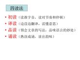 部编版五年级语文下册--21.杨氏之子（课件2）