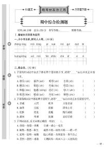 （2023春）济宁专版-人教版小学语文-六下-期中综合检测题（共4页1套）-