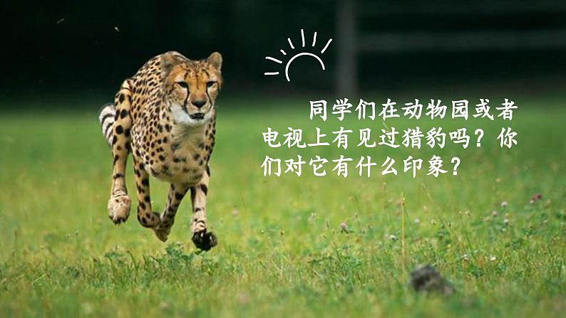 部编版语文5年级上册 第2单元 7.什么比猎豹的速度更快 PPT课件+教案01