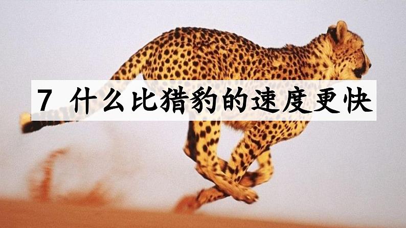 部编版语文5年级上册 第2单元 7.什么比猎豹的速度更快 PPT课件+教案02