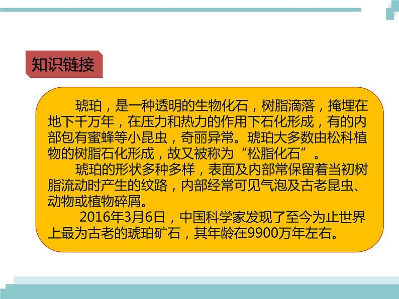 部编版小学四年级下册《琥珀》课件（2020年）第4页