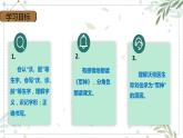 第11课《军神》第一课时（课件）-2022-2023学年五年级语文下册同步课件 （部编版）