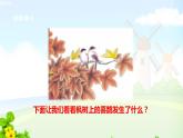 9 枫树上的喜鹊课件PPT