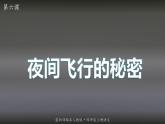 2021-2022学年部编版语文四年级上册 6 夜间飞行的秘密 课件2