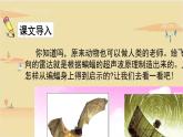 2021-2022学年部编版语文四年级上册 6 夜间飞行的秘密 课件2