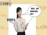 2021-2022学年部编版语文四年级上册 6 夜间飞行的秘密 课件2