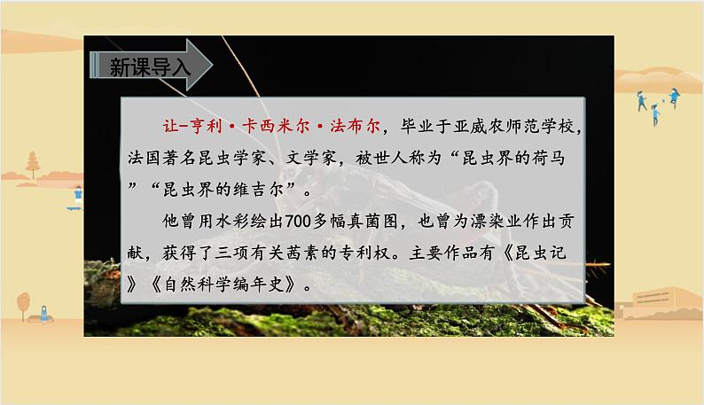 2021-2022学年部编版语文四年级上册 11 蟋蟀的住宅 课件102