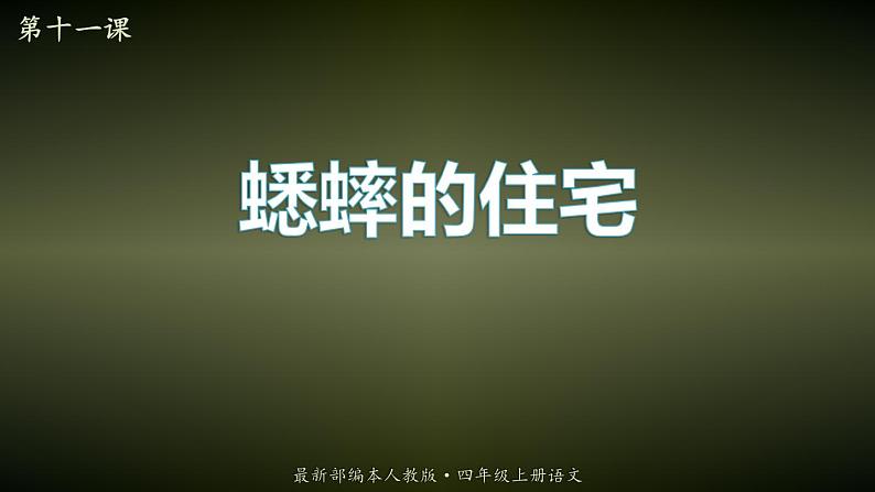 2021-2022学年部编版语文四年级上册 11 蟋蟀的住宅 课件201