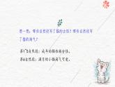 [拓展]13.猫课件PPT
