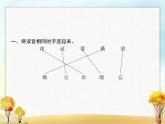 人教版小学语文二年级下册课文23祖先的摇篮教学课件