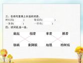 人教版小学语文二年级上册课文17难忘的泼水节教学课件