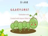 我是一只小虫子示范课件第1课时